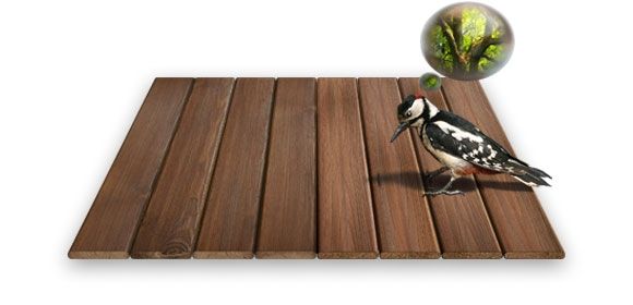 Clearview Home Remodeling Images
