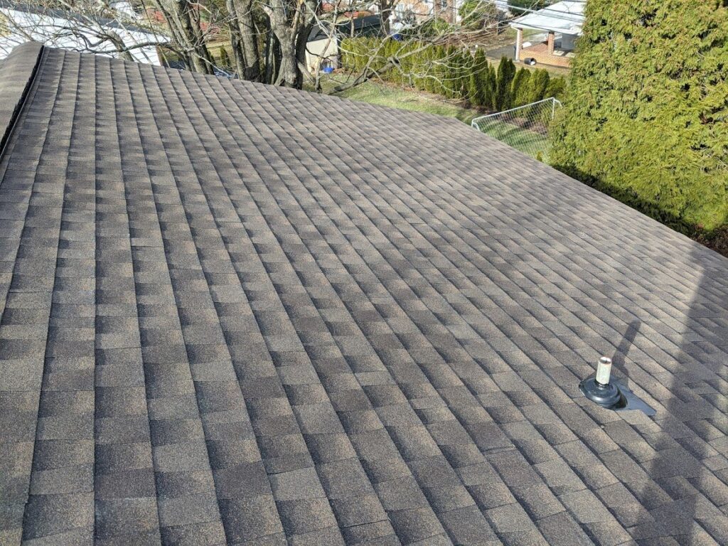 Roof Repair 2 newroof13