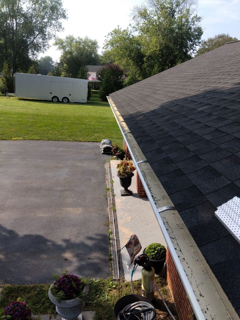 401 Cedar Springs Rd 3 1